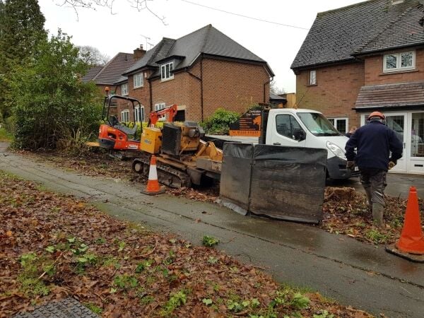 Established Arborist & Landscaping Business - Derbyshire
