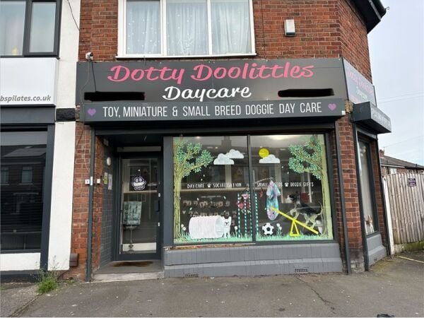Paws, Play & Profit – Thriving Doggy Daycare with Loyal Client Base Paws, Play & Profit – Thriving Doggy Daycare with Loyal Client Base