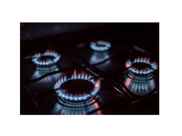 Fuel the Future – Modern Gas Services Business with Online Presence Fuel the Future – Modern Gas Services Business with Online Presence