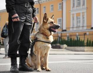 Trusted Security Service Providers delivering proven success and profitability.
