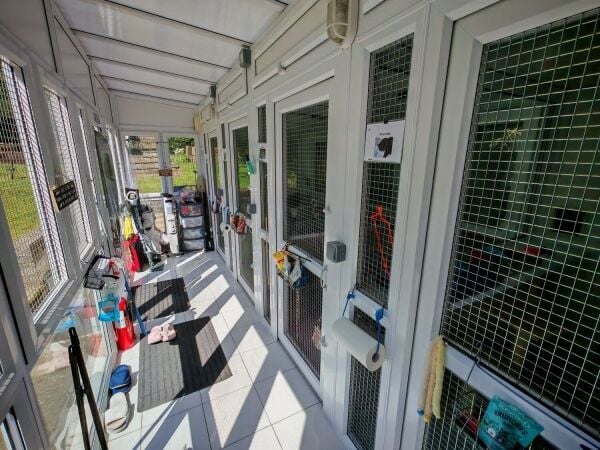 5-Star Licensed Cattery with Freehold Bungalow - Eastwood, Nottingham