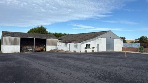 Family-run nursery and plant centre for sale in Mauchline East Ayrshire