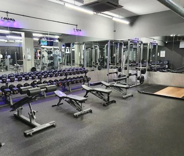 Gym Franchise for Sale
