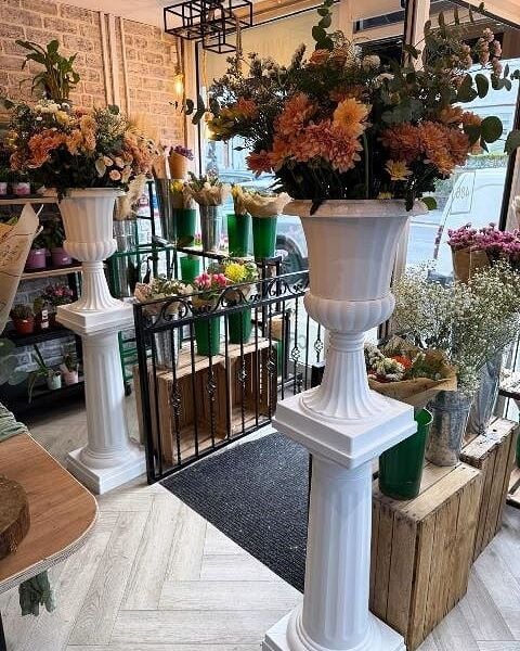 Exclusive Florist & High End Wine Store for Sale