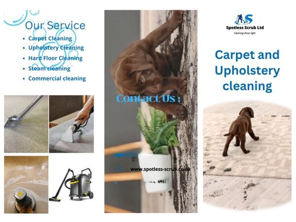 Bring Surfaces Back to Life – Thriving Carpet & Upholstery Cleaning Business Bring Surfaces Back to Life – Thriving Carpet & Upholstery Cleaning Business