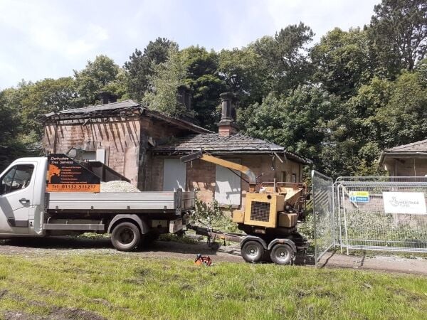 Established Tree Surgery Business - Derbyshire