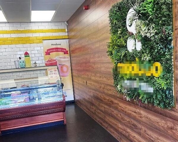 Bubble Tea Shop for Sale Bubble Tea Shop for Sale