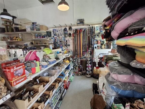 Pets, Supplies & Services For Sale in Leeds Pets, Supplies & Services For Sale in Leeds