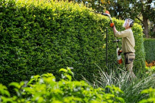 Established Relocatable Gardening Business Established Relocatable Gardening Business