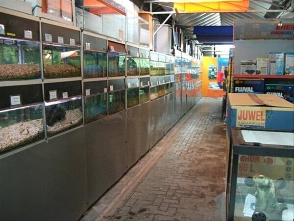 Garden Centre - Sherfield-on-Lodden Photo 3