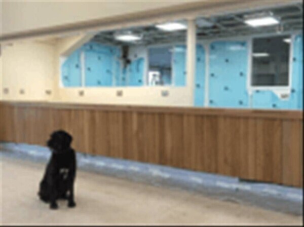 BESPOKE CARPENTRY & JOINERY SERVICES FOR SALE IN NORFOLK Photo 3