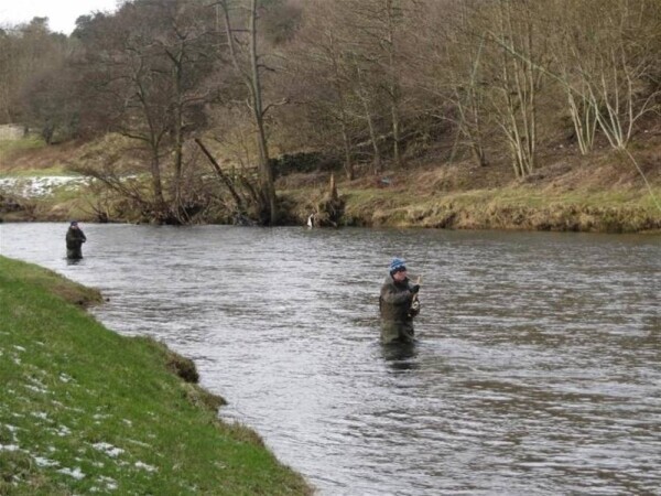 GAME FISHING BREAKS ON THE RIVER TWEED RUN FROM HOME Photo 3
