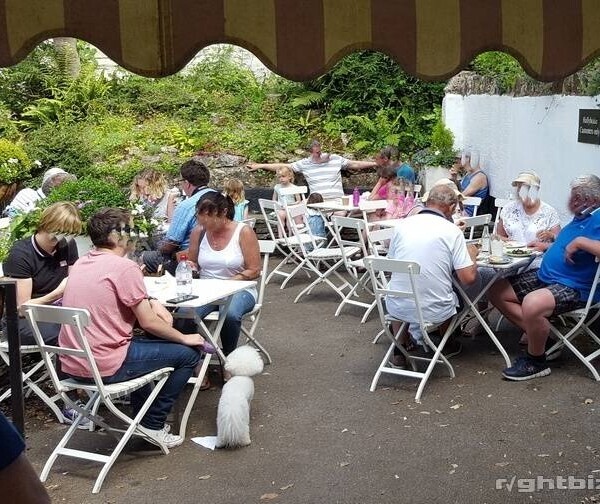 Cheddar Gorge - Quintessential English Tearooms and Cafe Photo 3