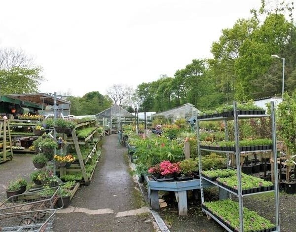 Garden Centre & Horticulture For Sale in Liversedge Photo 3