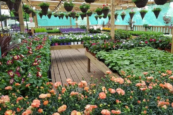 Florist & Garden Centre - Skelmersdale Photo 3