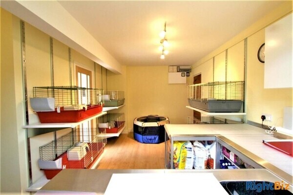 Kennels, Cattery & Equestrian businesses For Sale in Wantage Photo 3