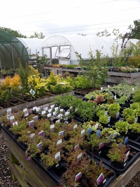 Garden Centre Business With Excellent Reputation Photo 3