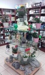 Newsagents, Grocers & More - Perth And Kinross Photo 3