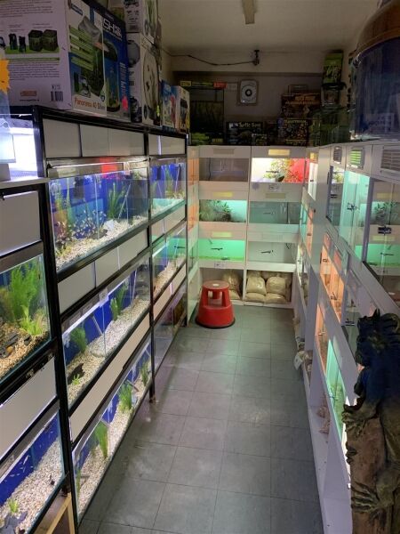 LIVE PETS & SUPPLIES EMPORIUM IN YORK SUBURB LIVE PETS & SUPPLIES EMPORIUM IN YORK SUBURB