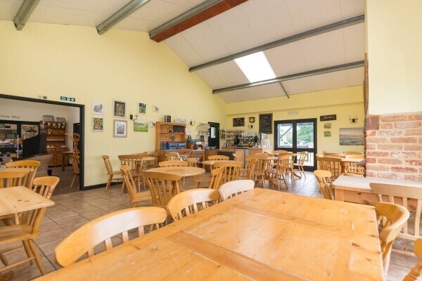Established Farm Shop & Cafe - Essex Photo 3