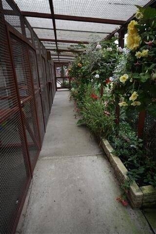 Former Cattery, 5 Bedroom House & Flat- Eastbourne Photo 3