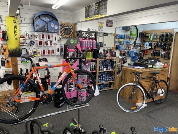 Well Established Independent Local Bike Shop for Sale in Bristol Photo 3