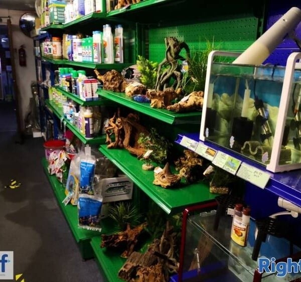 Freehold Aquatics Shop - Coalville, Leicestershire Photo 3