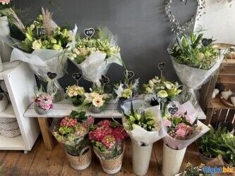 Well Established Florist / Giftware Shop