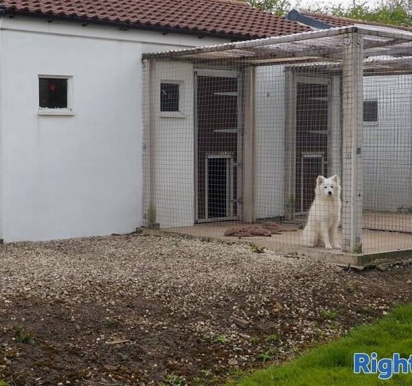 Kennels, Cattery & Equestrian businesses For Sale in Chesterfield Photo 3