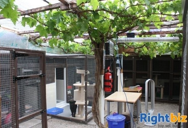 Cornwall, Penzance - Freehold home, holiday let, kennels and cattery Photo 3