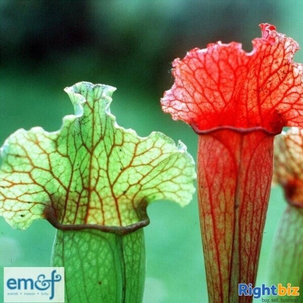 PLANT NURSERY & ON-LINE RETAIL BUSINESS Photo 3