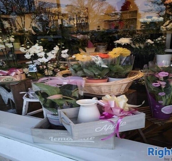 Long Standing Florist business for sale Photo 3