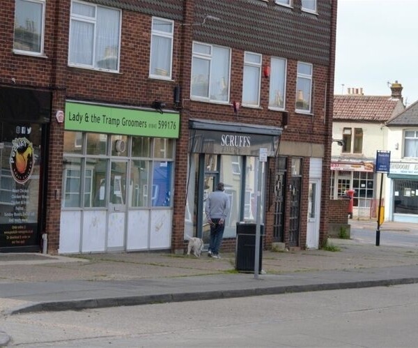Profitable, Well Equipped Dog Grooming Parlour Salon Photo 3