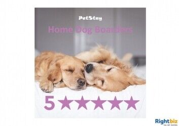 Pet Service business in North Lancashire for sale Pet Service business in North Lancashire for sale