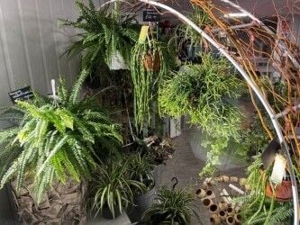 Well-Established Florist in Cornwall