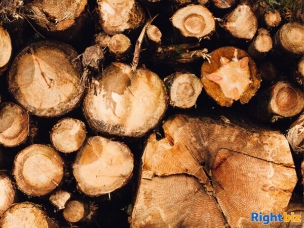 Well Established Tree Surgery Business with Large Client Base Photo 3