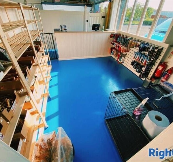 A Well Established & Equipped Dog Day-care Centre Photo 3