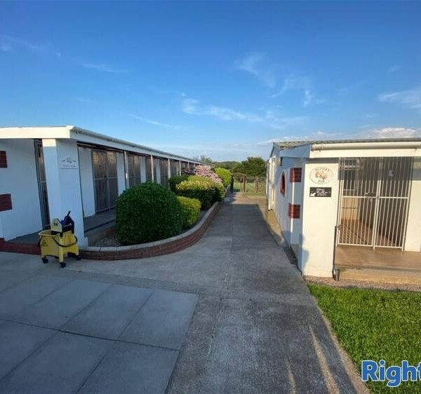 Kennels, Cattery & Equestrian businesses For Sale in Monmouthshire Photo 3