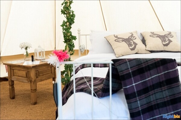 Bell Tent Hire Company, based in the New Forest, Hampshire Photo 3