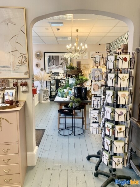 Well Established Popular Interior & Gift Retail Business Photo 3