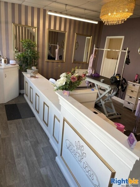 Dog grooming business for sale Photo 3