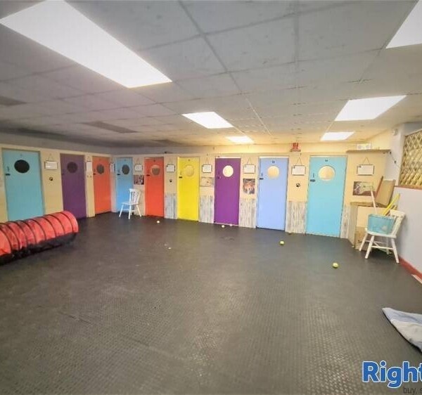5 Star Rated Dog Day Care & Hydrotherapy Centre Photo 3