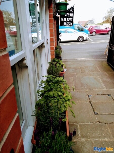 Cafe/Bakery/Takeaway in Glastonbury Photo 3