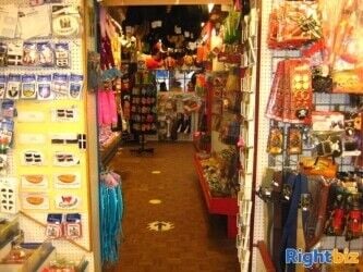 Freehold Gift Shop Located In East Looe