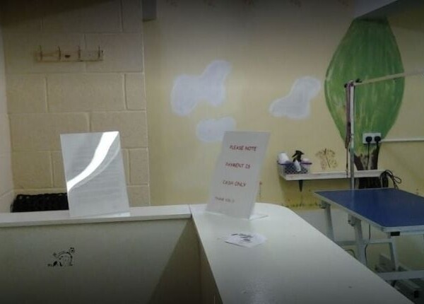 Caring & Reputable Dog Grooming Parlour in Shropshire Photo 3