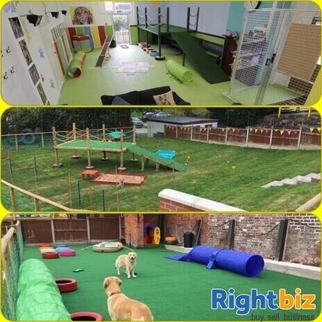 Popular Doggy DayCare Business Photo 3