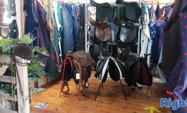 EQUESTRIAN SUPPLIES Photo 3