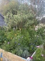Garden nursery/Florist retail shop for sale