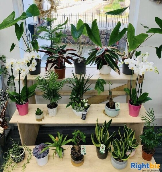 Established Florists Shop For Sale in Worsley, Manchester Photo 3