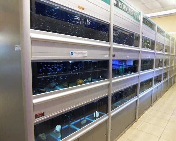 Spacious Pet & Aquatic Centre for Sale Photo 3